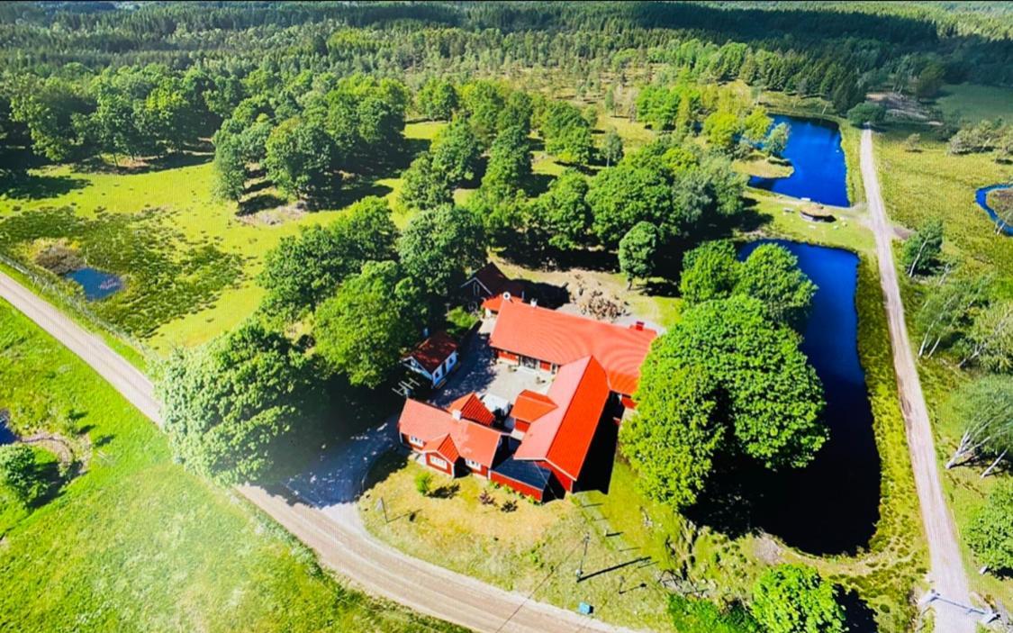 Ulvereds Hjorthaegn - Camp Mayfly Bagian luar foto